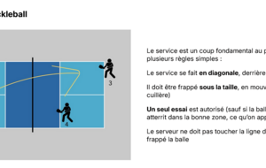 6894c9e881493_Leserviceaupickleball.png